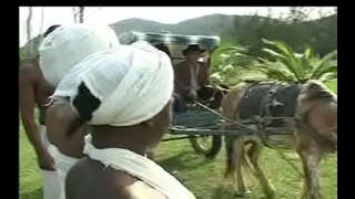 Ca Negras da senzala