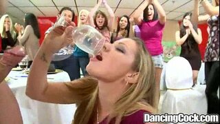 Dancingcock Big Ċelebrazzjoni